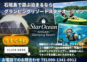 ココナッツレンタカー石垣島空港店おすすめのStarOceanスターオーシャン
