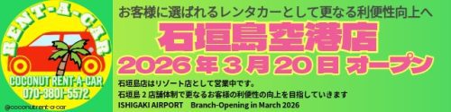 ココナッツレンタカー石垣島空港店
