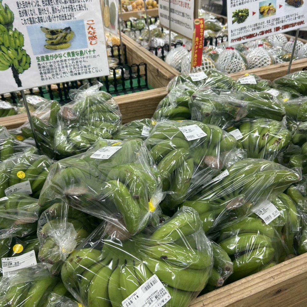 Coconut Rental Car Ishigaki